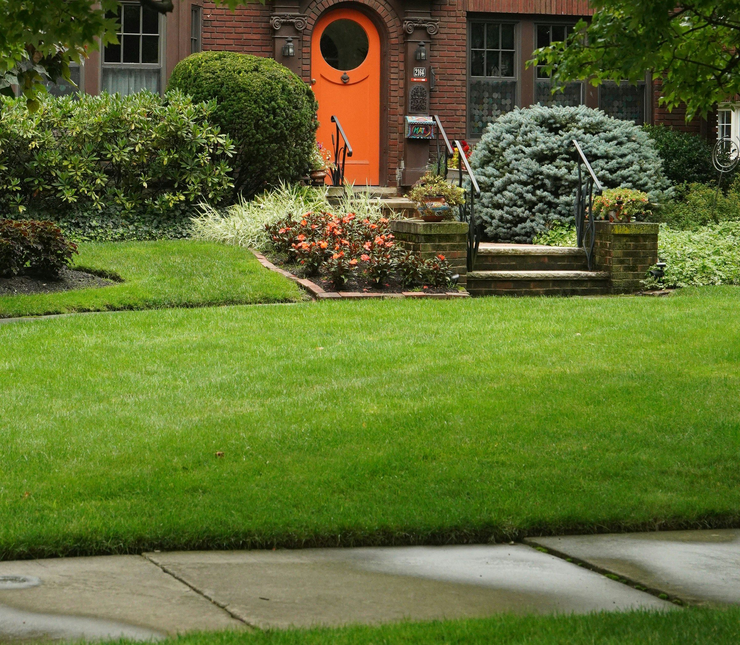 A vibrant, meticulously manicured residential lawn showcases precision edging along a wet sidewalk. The deep green turf leads to a detailed landscape with diverse shrubs and a charming Tudor-style home featuring a bright orange front door, framed by lush tree branches.