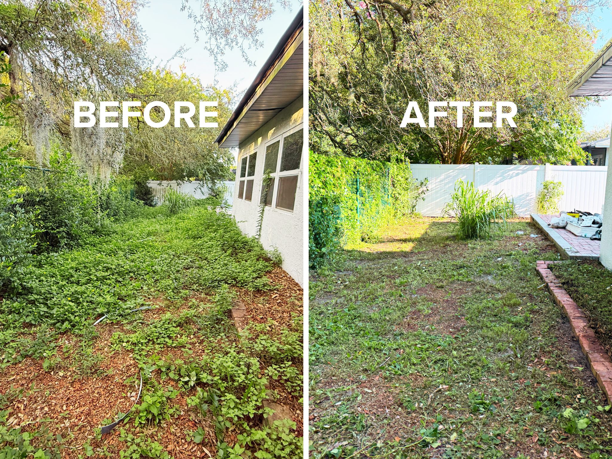 Professional property cleanup services clearing overgrown shrubs and yard waste in Orlando